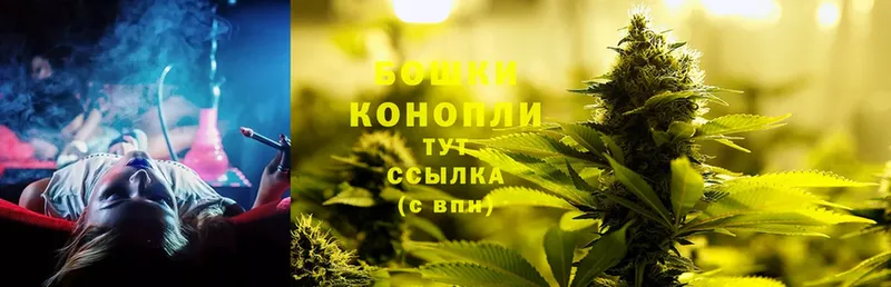 Конопля SATIVA & INDICA  как найти наркотики  mega зеркало  Дно 